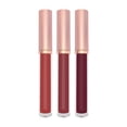 thumbnail image 1 of Liquidation de Brillant à Lèvres, Ensemble de Rouges à Lèvres Bradem Ensemble de Brillant à Lèvres Rouge à Lèvres Liquide Longue Tenue Ne Colle Pas à la Tasse Lisse Hydratant Taches pour les Lèvres Maquillage pour Femmes Lot de 3 (7,5 ml), 1 Boîte de 3 Brillant à Lèvres Vente de Liquidation!, 1 of 9