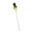 thumbnail image 1 of Tnarru Artificial Vegetable Centerpiece Simulation Vegetable for Drawing Party Shop Green Onions, 1 of 8