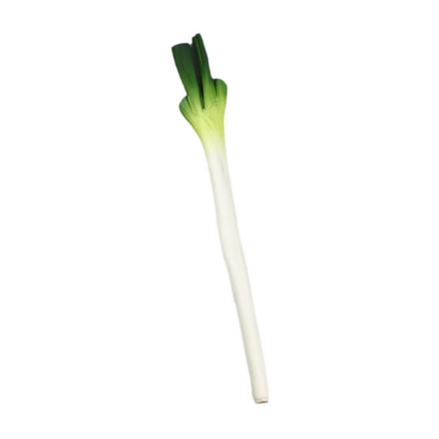 DOLITY Artificial Vegetable Centerpiece Simulation Vegetable for Drawing Party Shop Green Onions