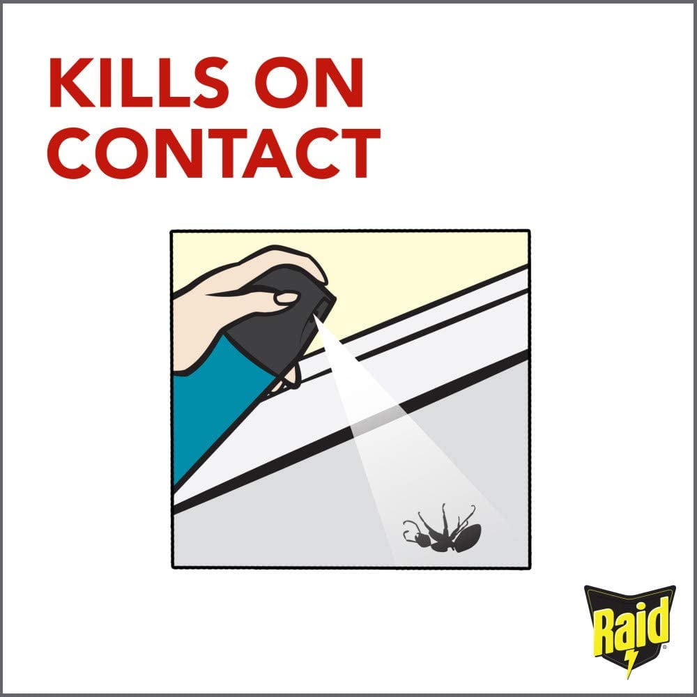Raid Flying Insect Killer, 15 OZ (Pack - 6)