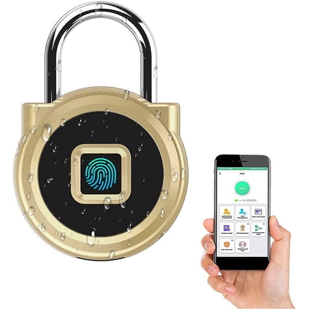 Candado para taquilla de gimnasio, huella digital autorizada o desbloqueo remoto, grabación de desbloqueo, calendario, resistente al agua IP65, cerradura de seguridad inteligente sin llave para taquilla de escuela/gimnasio, mochila, armario de jardín, dorado Rojo Verde