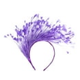 thumbnail image 2 of MSJUHEG Tea Party Hats,Feather Hair Clip,Feather Headpiece,Church Hats,Fascinators Hats,Hat for Wedding Flower Mesh Hair Clip Tea Headband Purple One Size, 2 of 3