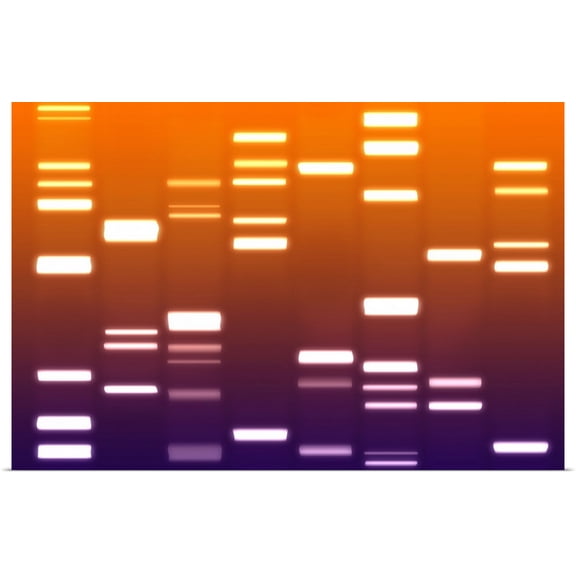 Great BIG Canvas | Rolled Michael Tompsett Poster Print entitled DNA Art Orange Purple