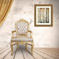 thumbnail image 3 of Pinto, Patricia 25x32 Gold Ornate Wood Framed with Double Matting Museum Art Print Titled - Birch Forest I, 3 of 4
