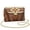 Aztec Tribal, variant on Aztec Tribal Cross body Bags for Women Exquisite Trendy Women Leather Crossbody Bag with Chain Quilted Leather Mini Crossbody Purse Practical Fashion for Daily Life