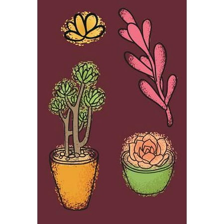 Succulents : Best Way to Store Passwords Offline Helpful Notebook Organizer for Remembering Username Pin and Login (Best Way To Store Artwork)