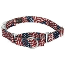 Country Brook Petz® Patriotic Tribute Martingale with Premium Buckle, Small