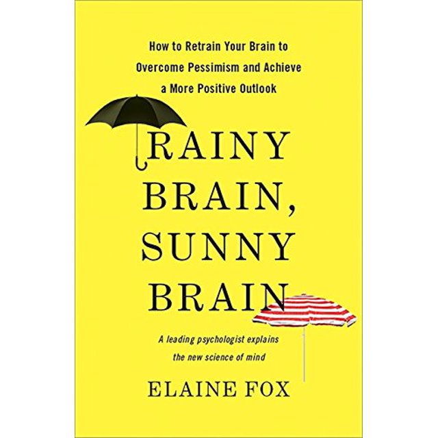 Cerveau Pluieux, Cerveau Ensoleillé: Comment Remonter Votre Cerveau pour Surmonter le Pensimisme et Atteindre une Vision Plus Positive