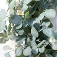 thumbnail image 4 of Eucalyptus Wreaths, Front Door 22" Large Green Leaves Wreath for Spring Summer All Seasons, Outdoor Greenery Floral Wreath Wall, 4 of 6