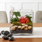6 Pack: 7 Square Vase by Ashland