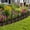 Black, variant on Y&M 21FT Garden Fence 20 Panels, 16.7in H Metal Border Fence, No Dig Landscape Edging for Yard Lawn Flower Bed, Rustproof