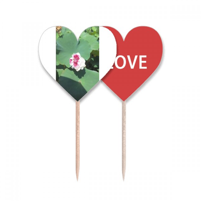 Poco Lotus sol de verano Palillos de dientes bandera etiqueta de amor selección de pastelitos
