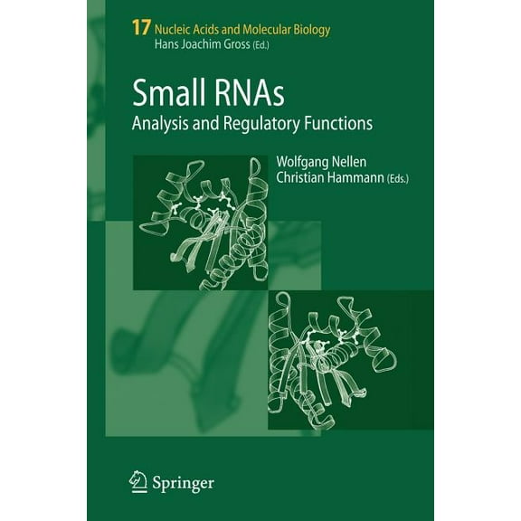 Nucleic Acids and Molecular Biology Small RNAs: Analysis and Regulatory Functions, Book 17, (Paperback)