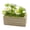 White, variant on Ciwanning Shelf Table Window Flower Planter Faux Floral Wooden Box Decor for Garden Scene Display Collector Arrangement Accent