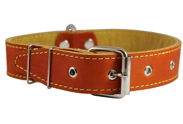 thick leather dog collars
