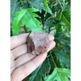 thumbnail image 3 of GAF TREASURES Wholesale Raw Bloodstone Crystals, Natural Bloodstone Stone, Natural Rough Bloodstone Crystals, Bloodstone Rough, Bloodstone Healing Crystals (Bloodstone, 0.25 Pound), 3 of 8