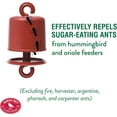 PerkyPet 245L Ant Guard for Hummingbird & Oriole Feeders Protects