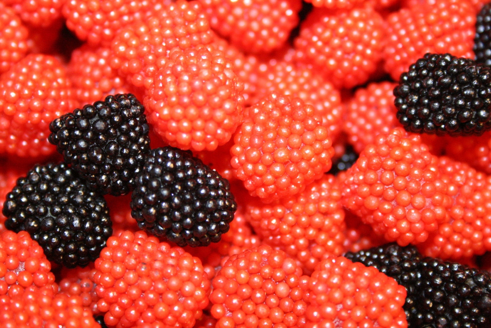 BAYSIDE CANDY HARIBO RASPBERRIES GUMMY CANDY, 1LB