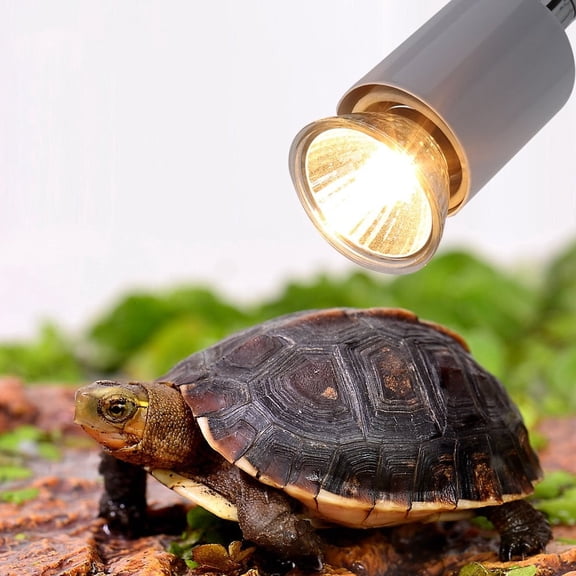 Zerone 75W Heating Light Bulb Aquarium Lamp for Pet Reptile Turtles, Heating Lamp, Aquarium Heating Light