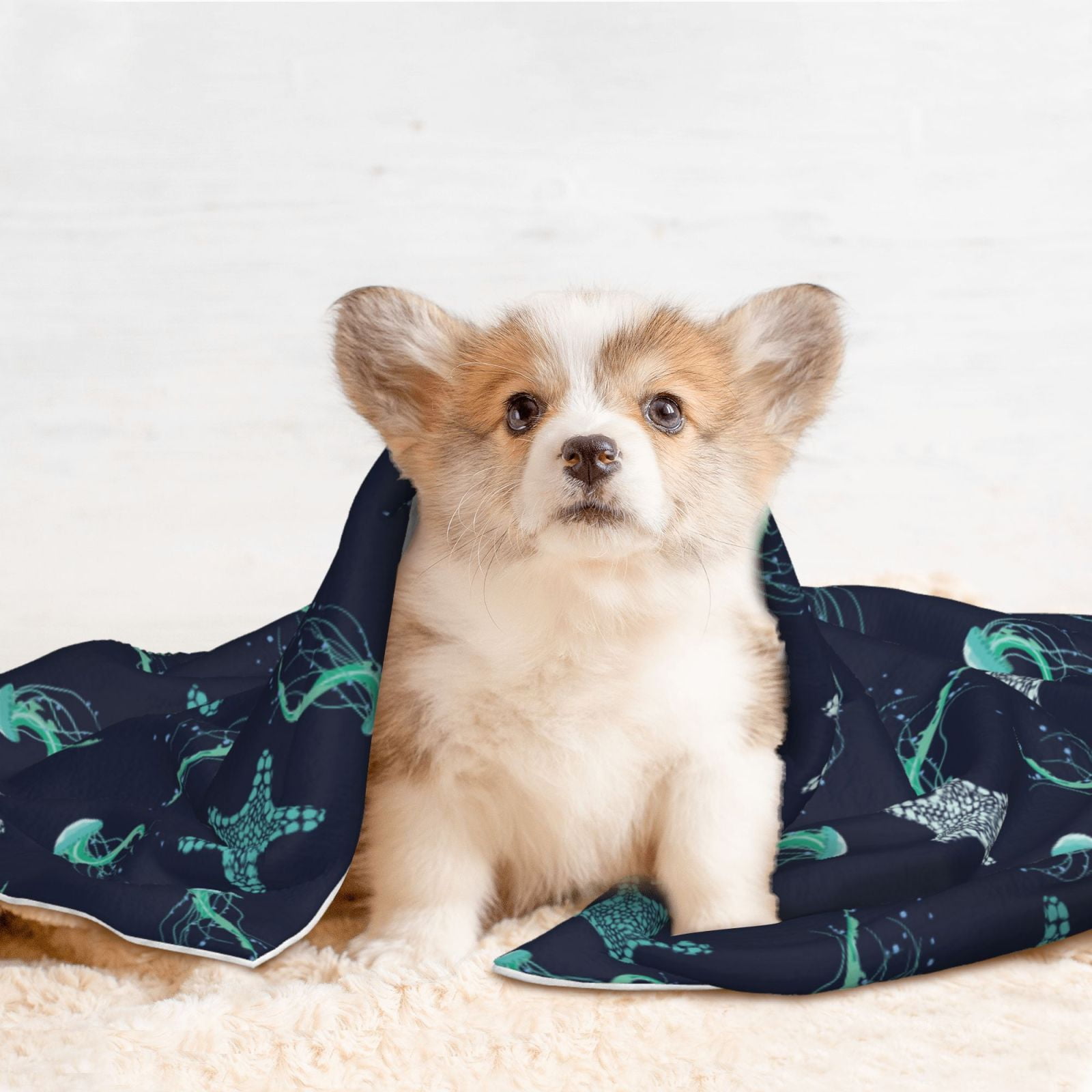 Naloa Ice Blue Starfish and Jellyfish Dog Blanket, 3 Sizes Cat Blanket for Indoor Cats Large Medium Small Dog Gifts-