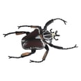 thumbnail image 1 of GUOOL Toys Educational Learning Toy Fly Animal Model Ornament Party Supplies for Party, 1 of 8