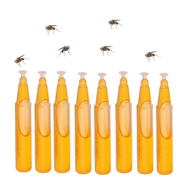 Gecorid Fruit Fly Killer 10 PCS Effective Gnat Killer Fruit Fly Traps