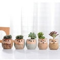 thumbnail image 4 of CSCHome Durable Flower Pots Succulents Plants Pots 2PCS Owl Planter Ceramic Flower Pots, 4 of 6