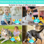 Crawling Crab Baby Toy,Interactive Electronic Pet,1 Count