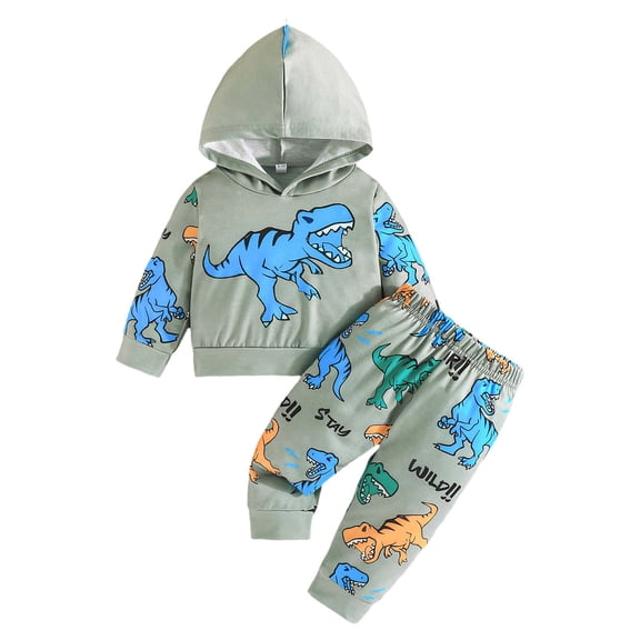 Fozruso Boys' Short Sets Kids Long Sleeve Cartoon Dinosaur Print Hooded Top And Pants Set,Sizes 9-12 Months(Gray)