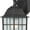 Black, variant on Nuvo 60-4906 - Adams - 1 Light - 14" Outdoor Wall W/ Frosted Glass