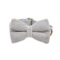 thumbnail image 1 of Light Grey Corduroy Dog Collar And Leash With Custom Engraved Nameplate, 1 of 17