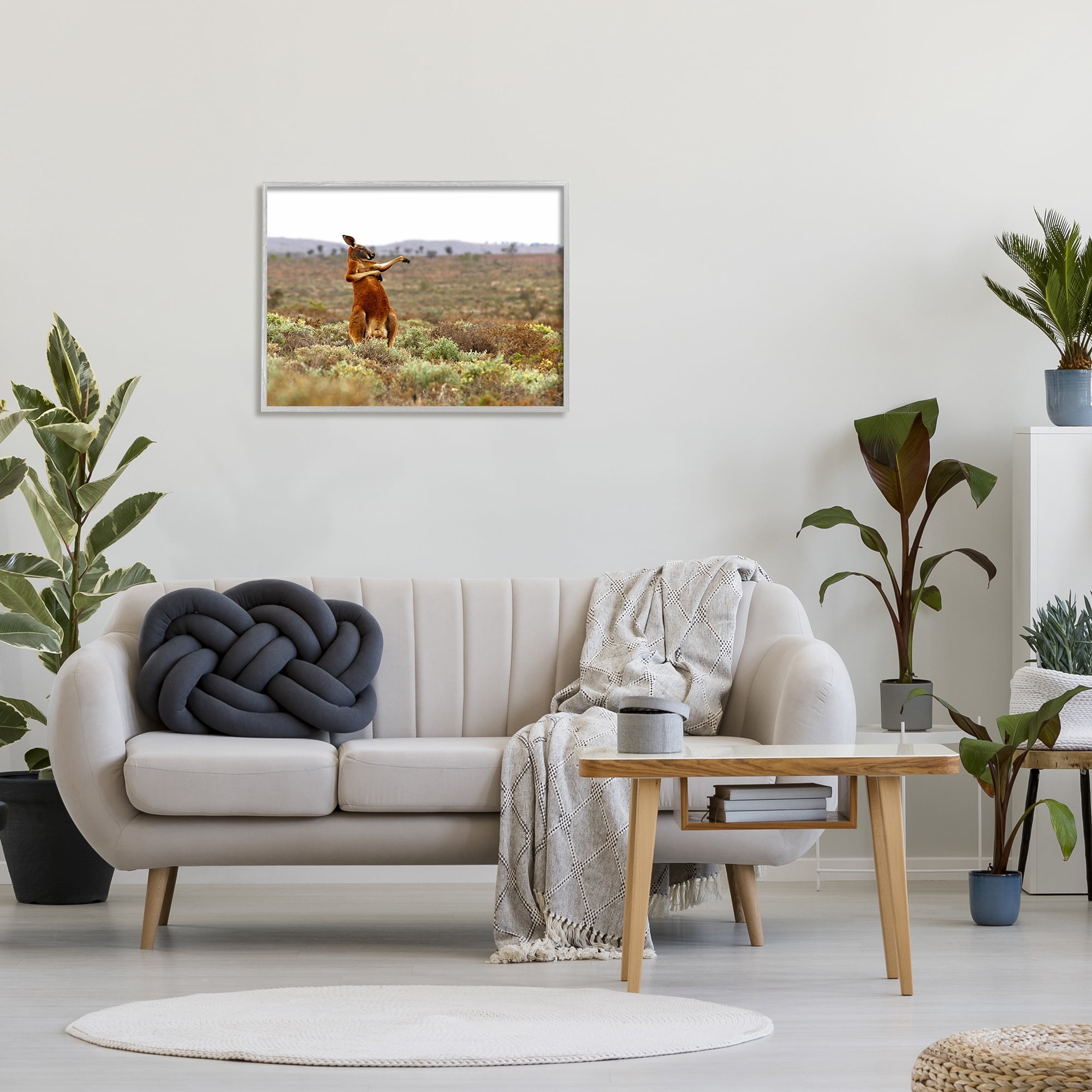 Stupell Industries Kangaroo Savanna Landscape Animals & Insects Photography Gray Framed Art Print Wall Art, 30 x 24