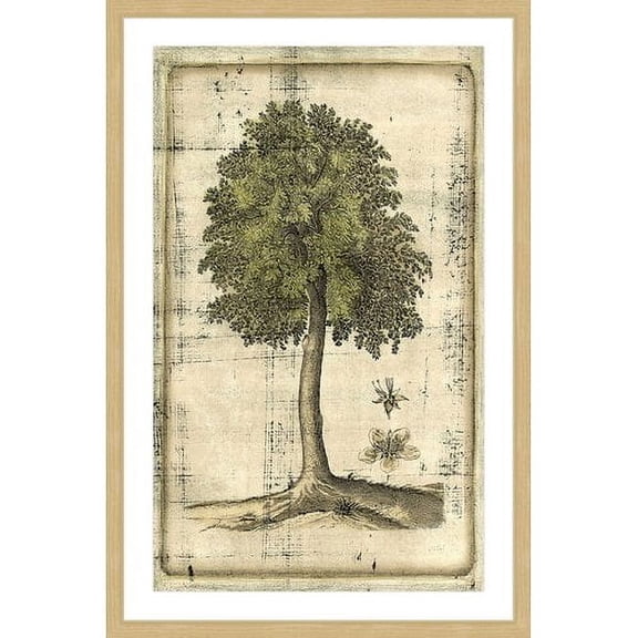 Marmont Hill "Fruitful Realm II" Framed Painting Print