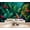 Color 4, variant on Wallpaper Tropical Jungle Green Leaves Banana Leaves Palm Foliage Peel and Stick Wall Murals 100"H x 144"W Removable PVC Wall Paper Self-Adhesive Wall Paintings Art Decor for Bedroom Living Room