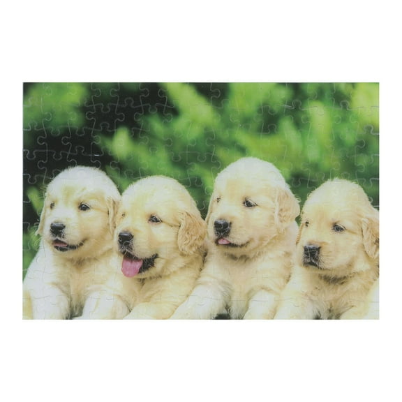 Four Puppies