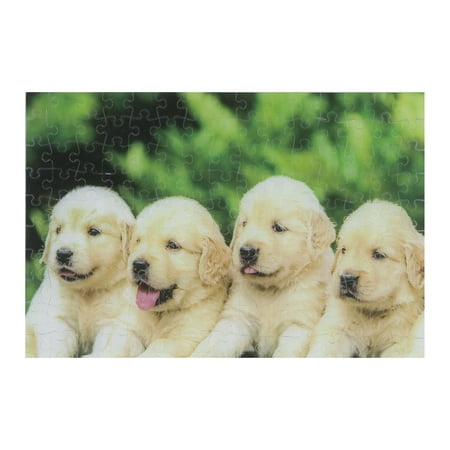 Four Puppies price history on PriceWatchPro