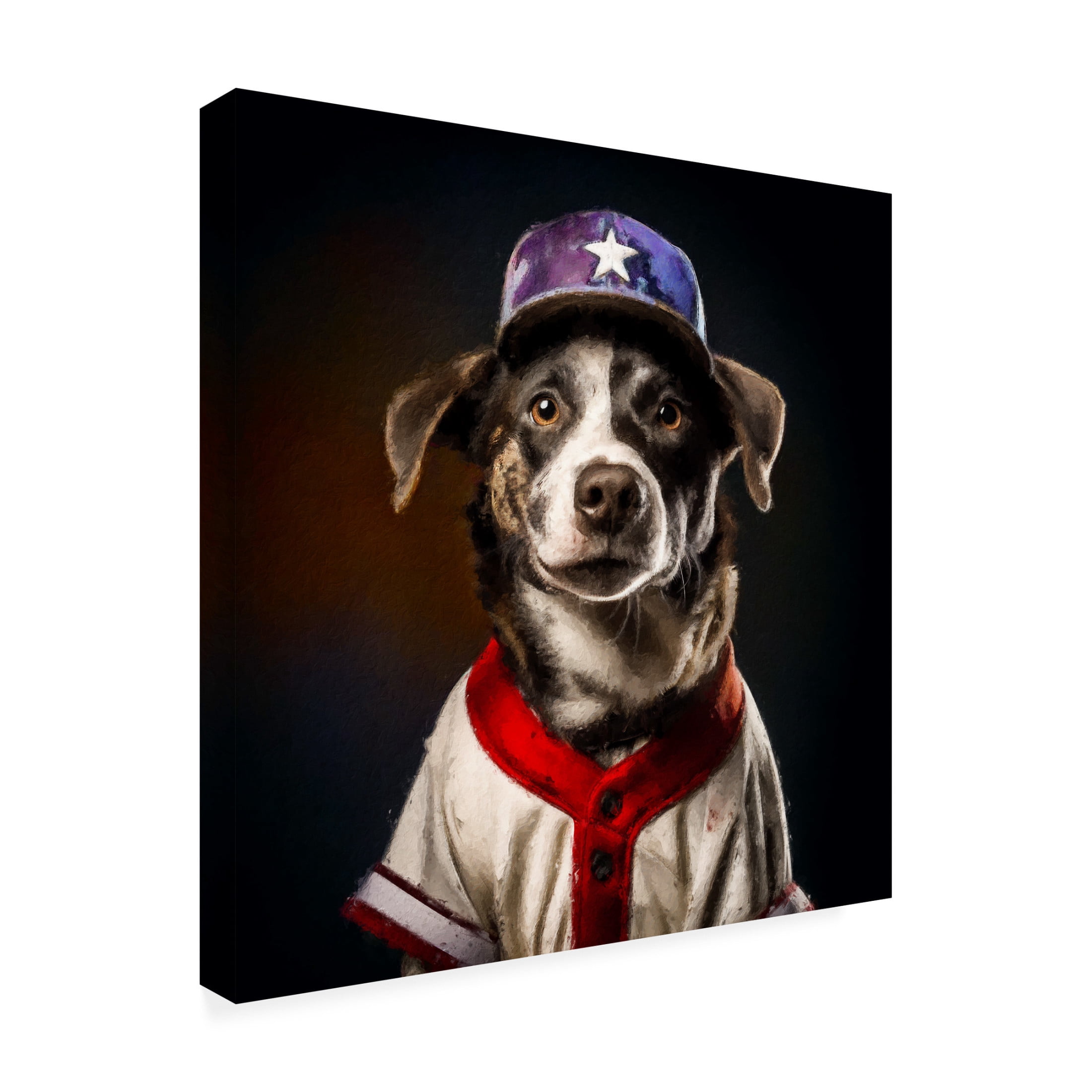 Canvas Wall Art - Sean Parnell 'Baseball 1' Wall Art for Living Room, Bedroom, or Office Décor by Trademark Fine Art - 35 x 35 Inches