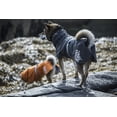 thumbnail image 3 of Monsoon Coat, Dog Raincoat, BlackBerry, 24 in, 3 of 8