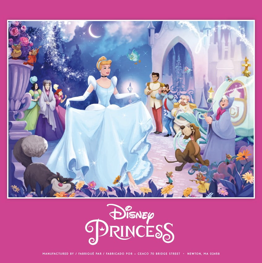 Disney Cinderella's Reflection 1000ピース e079d4cf-245e-45a1-ab49-