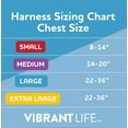 thumbnail image 6 of Vibrant Life Polyester Comfort Step-In Dog Harness, Black, XL, 6 of 8