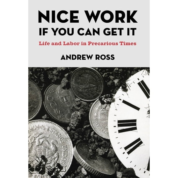Pre-Owned Nice Work If You Can Get It: Life and Labor in Precarious Times (Paperback) 0814776914 9780814776919