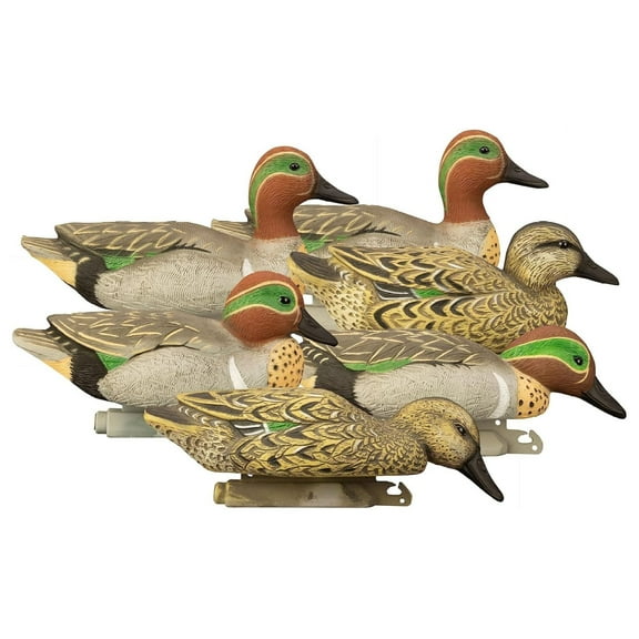 | Standard Green Wing Teal Decoys, Foam-Filled Standard Green Wing Teal 6 Pack