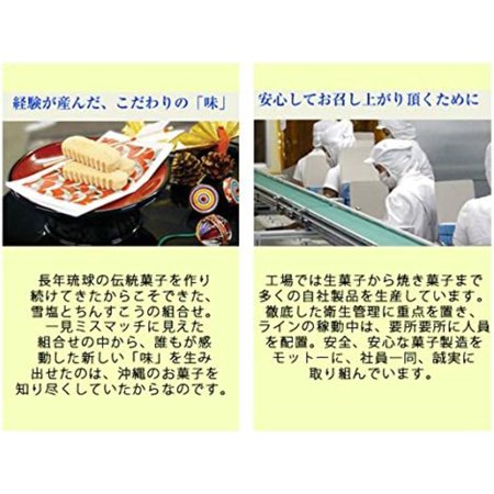 ちんすこう 塩 雪塩ちんすこう 大 48本入り×1箱 塩ちんすこう 雪塩 沖縄 お土産 人気 お菓子 おやつ 送料無料 南風堂
