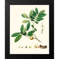 thumbnail image 2 of Unknown 15x18 Black Modern Framed Museum Art Print Titled - Spring Green Foliage VII, 2 of 5