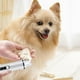 thumbnail image 4 of 2025 Lijadora De Uñas Para Mascotas Mejorada Con Luz Led Cortauñas Para Perros Cortauñas Silencioso Para Mascotas Aseo Y Alisado Herramienta De Aseo Para Mascotas Para Perros Pequeños, Medianos Y, 4 of 8