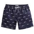 thumbnail image 1 of Bañador de flamenco 3d para hombre y niño, pantalones cortos de playa, pantalones deportivos Fivean unisex, 1 of 2