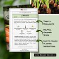 thumbnail image 2 of Scarlet Nantes Carrot Seeds - Non GMO Heirloom Varieties for your Home Vegetable Garden - 3 Pack, 2 of 5