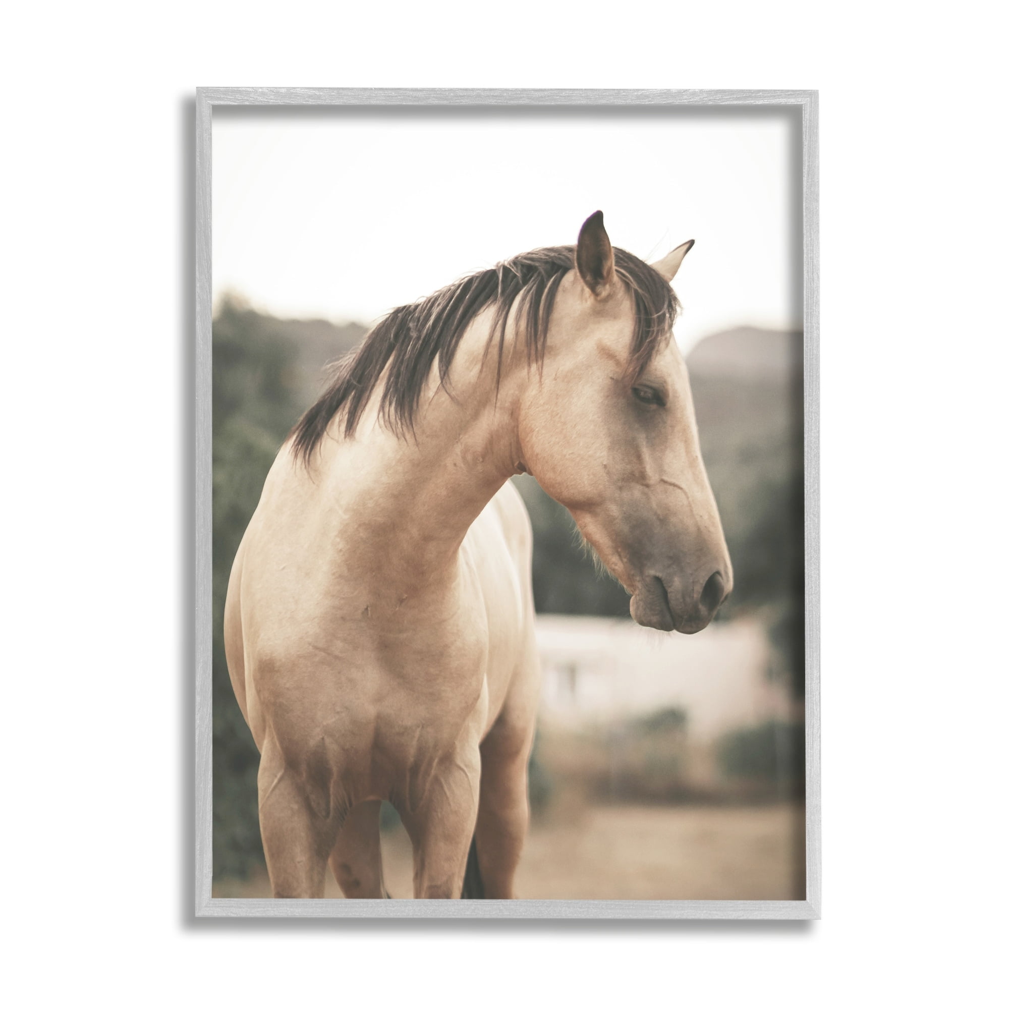 Stupell Industries Serene Countryside Landscape Brown Horse Portrait Photography Gray Framed Art Print Wall Art, 16x20, by Leah Straatsma