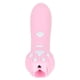 thumbnail image 5 of Palo Divertido Para Gatos, Patrón De Pata De Gato Para Reducir El Estrés, Juguete Interactivo Para Gatos, Varita Desmontable Para Gatos ANGGREK Otros, 5 of 8