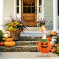 thumbnail image 5 of JoyMoreHome Halloween Goose Outfit, Fall Halloween Thanksgiving Outfit for 23 Inches Outdoor Patio Yard Lawn Art Decoration, 5 of 9